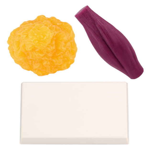 Body 1lb. Fat and Muscle Replicas with Base(Yamagata Fat Replica Model)