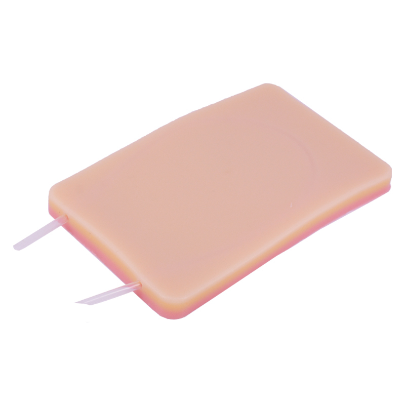 Venipuncture/Phlebotomy Practice Pad Model with Visible Vessel