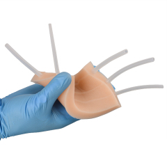 IV Injection Training Pad with Raised Veins, Simulated Dermatoglyph