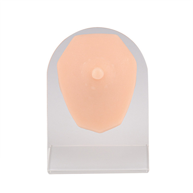 Silicone Nipple Piercing Practice Model (Boys/Girls) with Stand