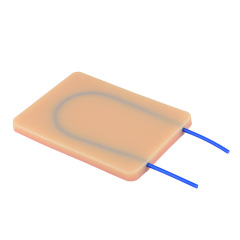 Venipuncture/Phlebotomy Practice Pad Model with Visible Vessel