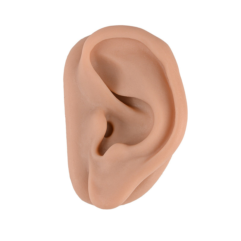 Silicone Acupuncture Ear Model for Teaching & Training