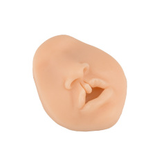 Bilateral Complete Cleft Lip Simulator for Pediatric Surgery Practice