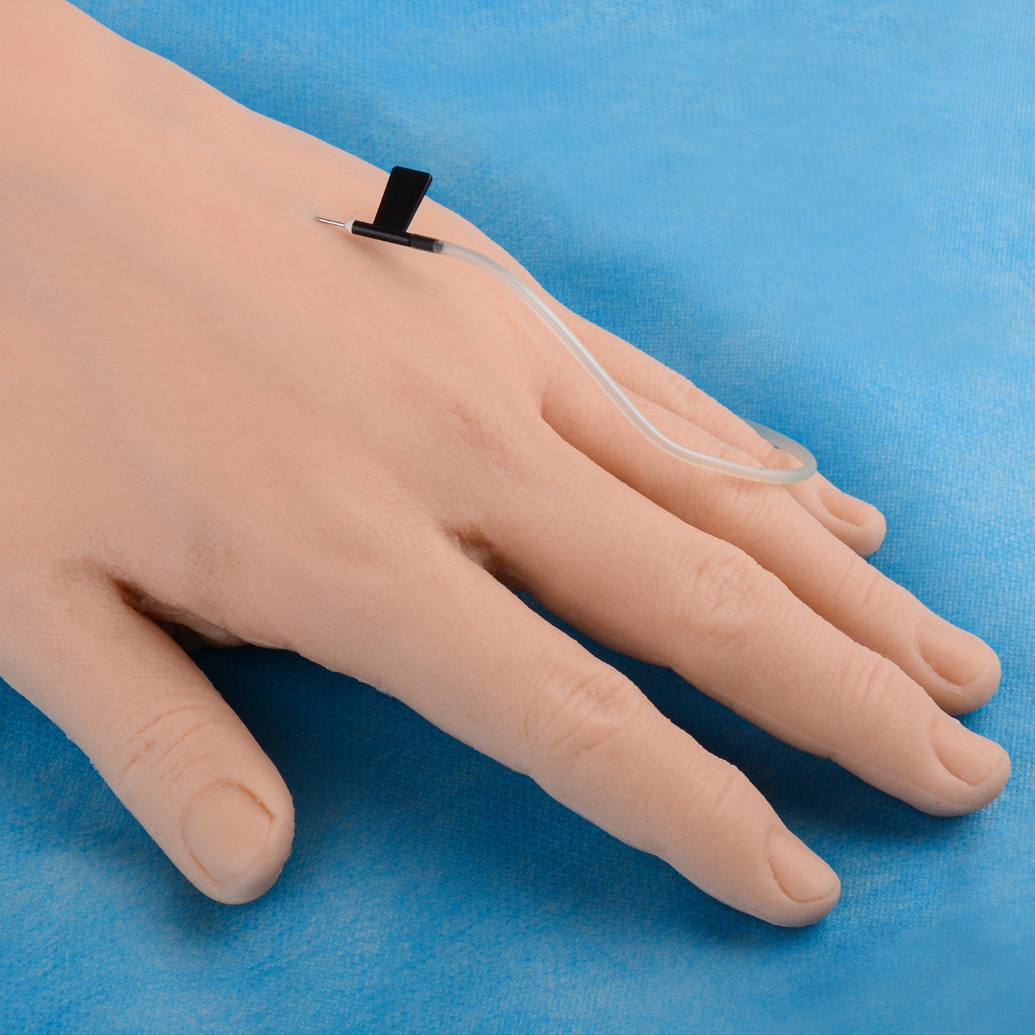 Professional IV Hand Practice Kit for Clinical Nursing Courses