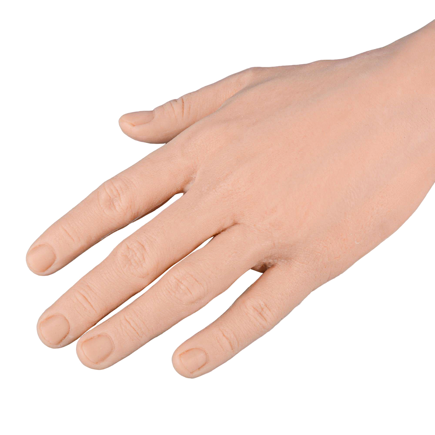 Professional IV Hand Practice Kit for Clinical Nursing Courses