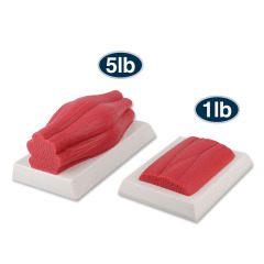 Brick Muscle and Fat Replicas, 1lb, 5lb for Education
