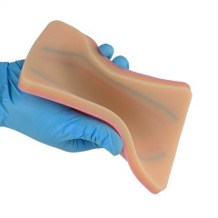 High Simulated IV Injection Teaching Model with Blue & Red Veins