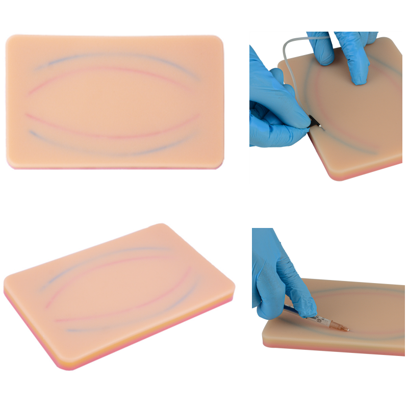 High Simulated IV Injection Teaching Model with Blue & Red Veins