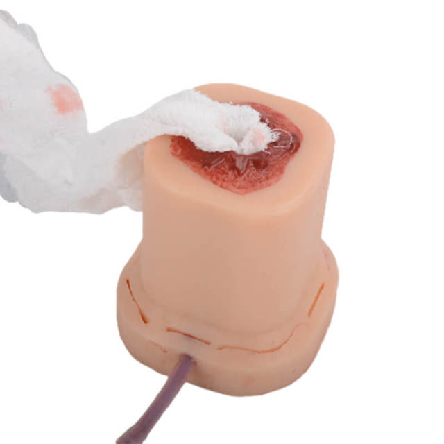 Columnar Gunshot Wound Packing Trainer with Suture Incision