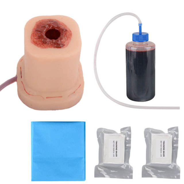 Columnar Gunshot Wound Packing Trainer with Suture Incision