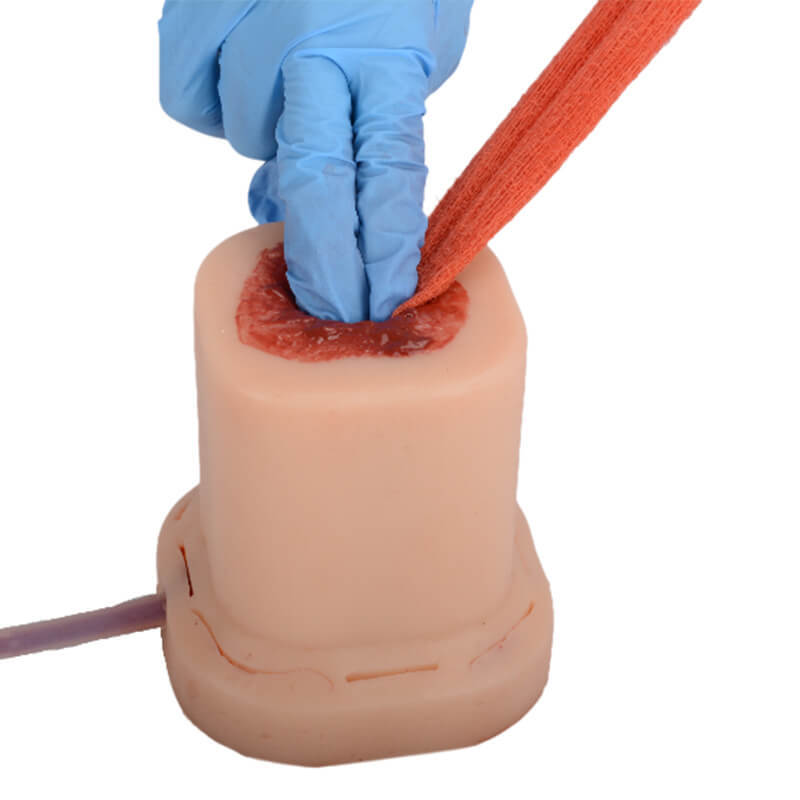 Columnar Gunshot Wound Packing Trainer with Suture Incision