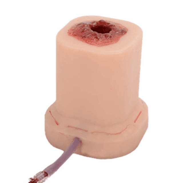 Columnar Gunshot Wound Packing Trainer with Suture Incision