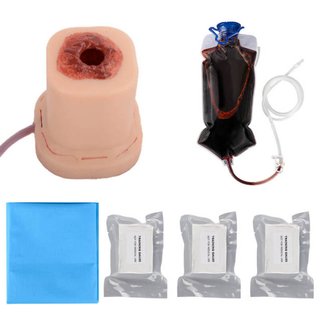 Columnar Gunshot Wound Packing Trainer with Suture Incision
