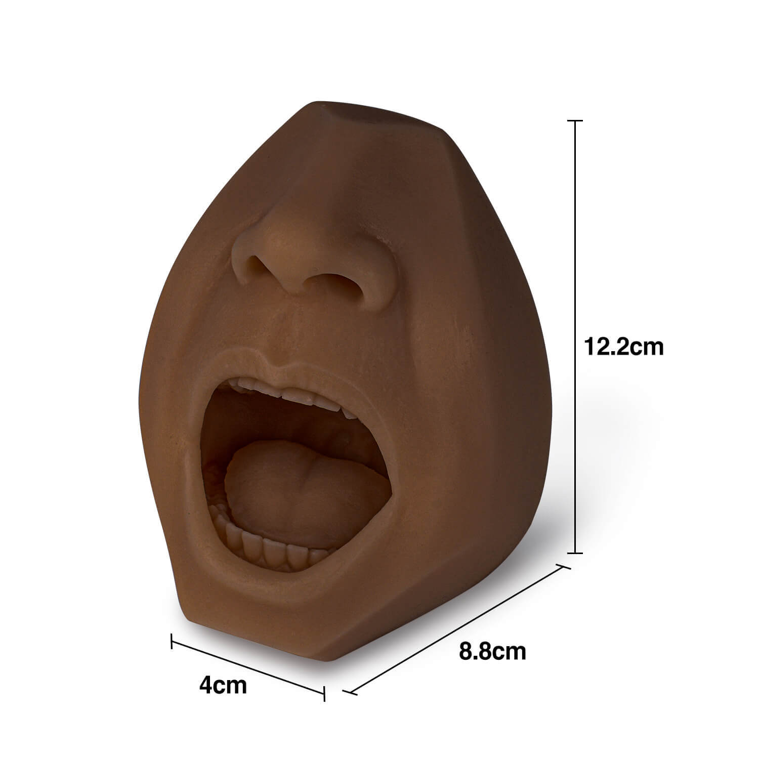 Mouth & Saliva-oral Fluid Drug Testing Training Model