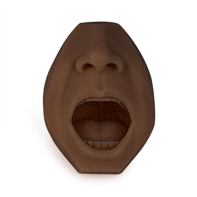 Mouth & Saliva-oral Fluid Drug Testing Training Model