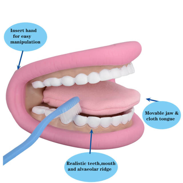 Mouth Hand Puppet with Tongue for Speech Therapy Dentist