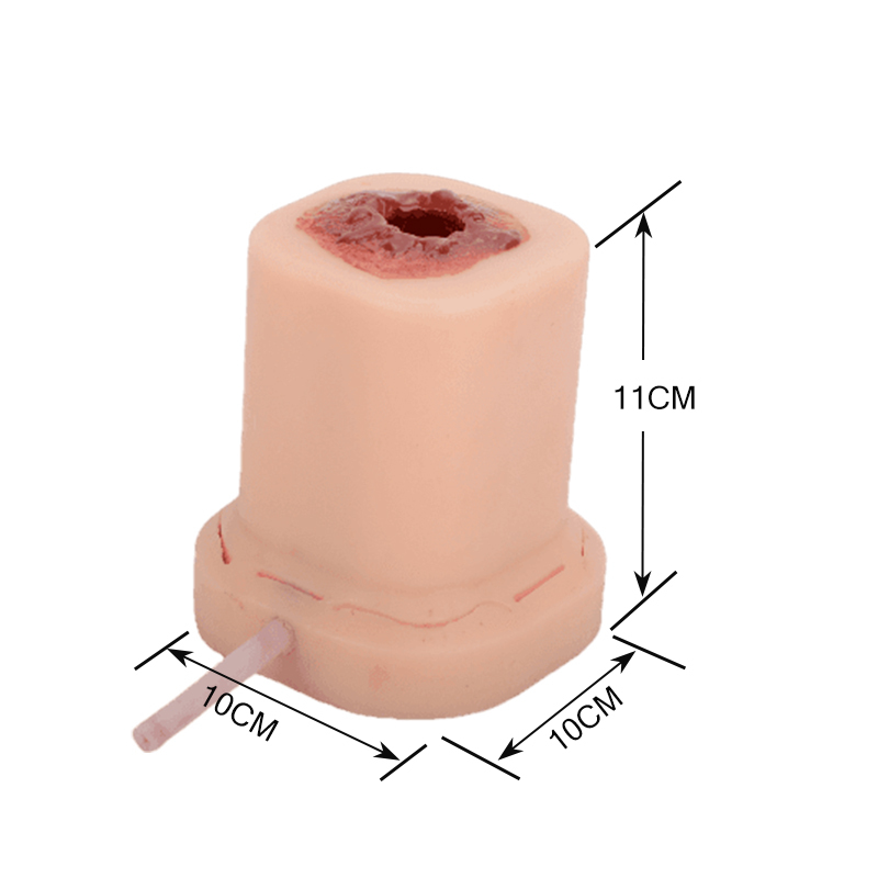 Columnar Gunshot Wound Packing Trainer with Suture Incision