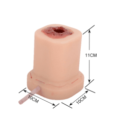 Columnar Gunshot Wound Packing Trainer with Suture Incision