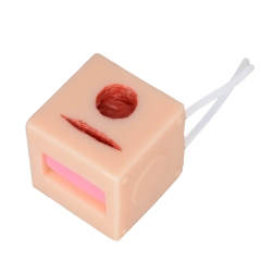 Medical Training Multicube Customized 6 Sides Simulation Model