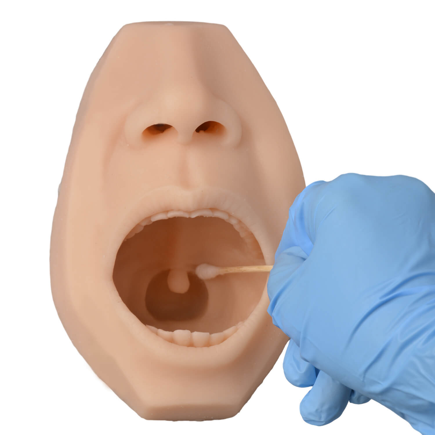 Upgraded Nasal & Throat Swab Collection Training Simulator