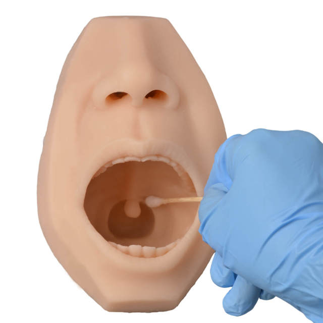 Upgraded Nasal & Throat Swab Collection Training Simulator