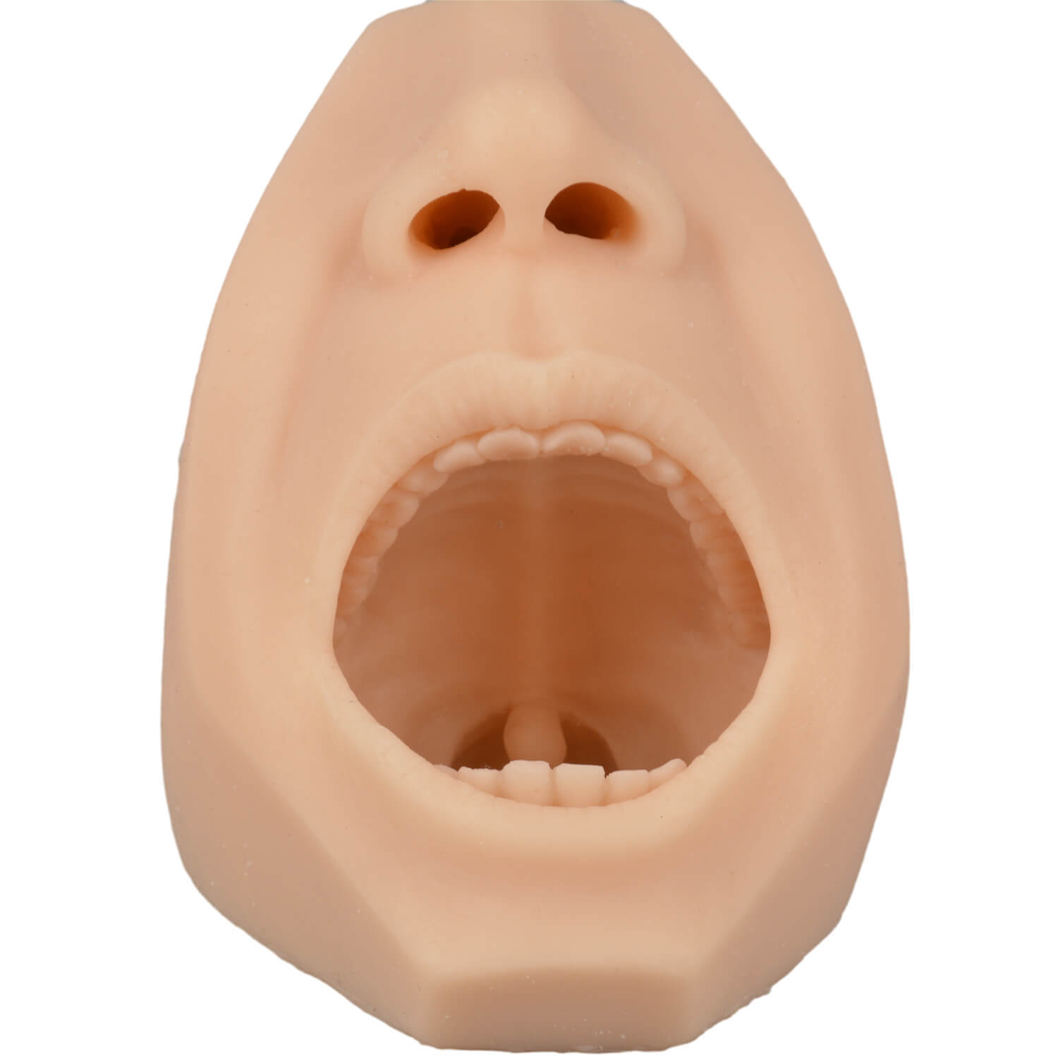 Upgraded Nasal & Throat Swab Collection Training Simulator