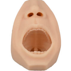 Upgraded Nasal & Throat Swab Collection Training Simulator