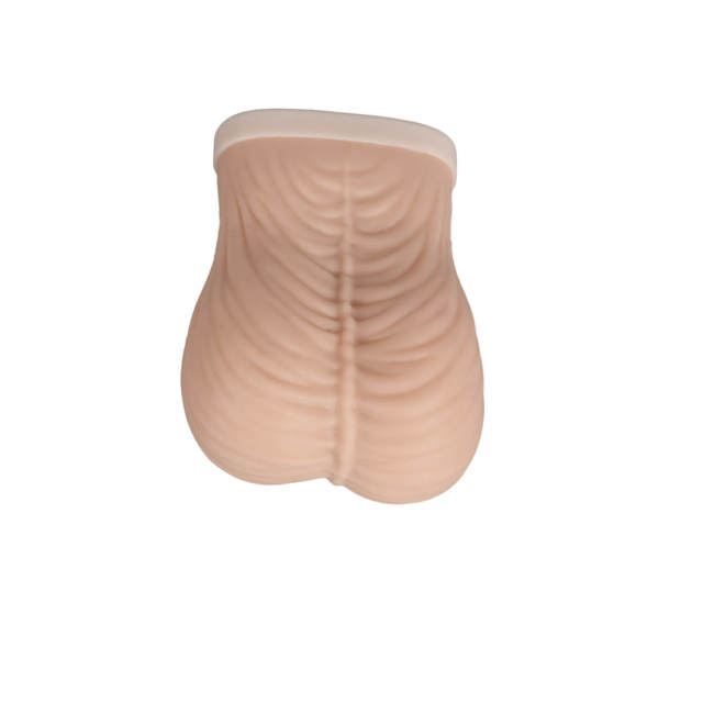 TSE Model for Testicular Self-Examination