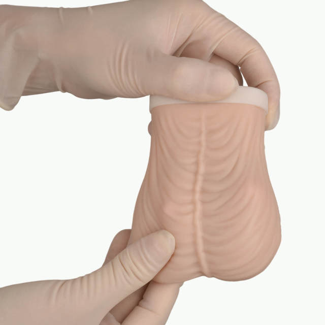 TSE Model for Testicular Self-Examination