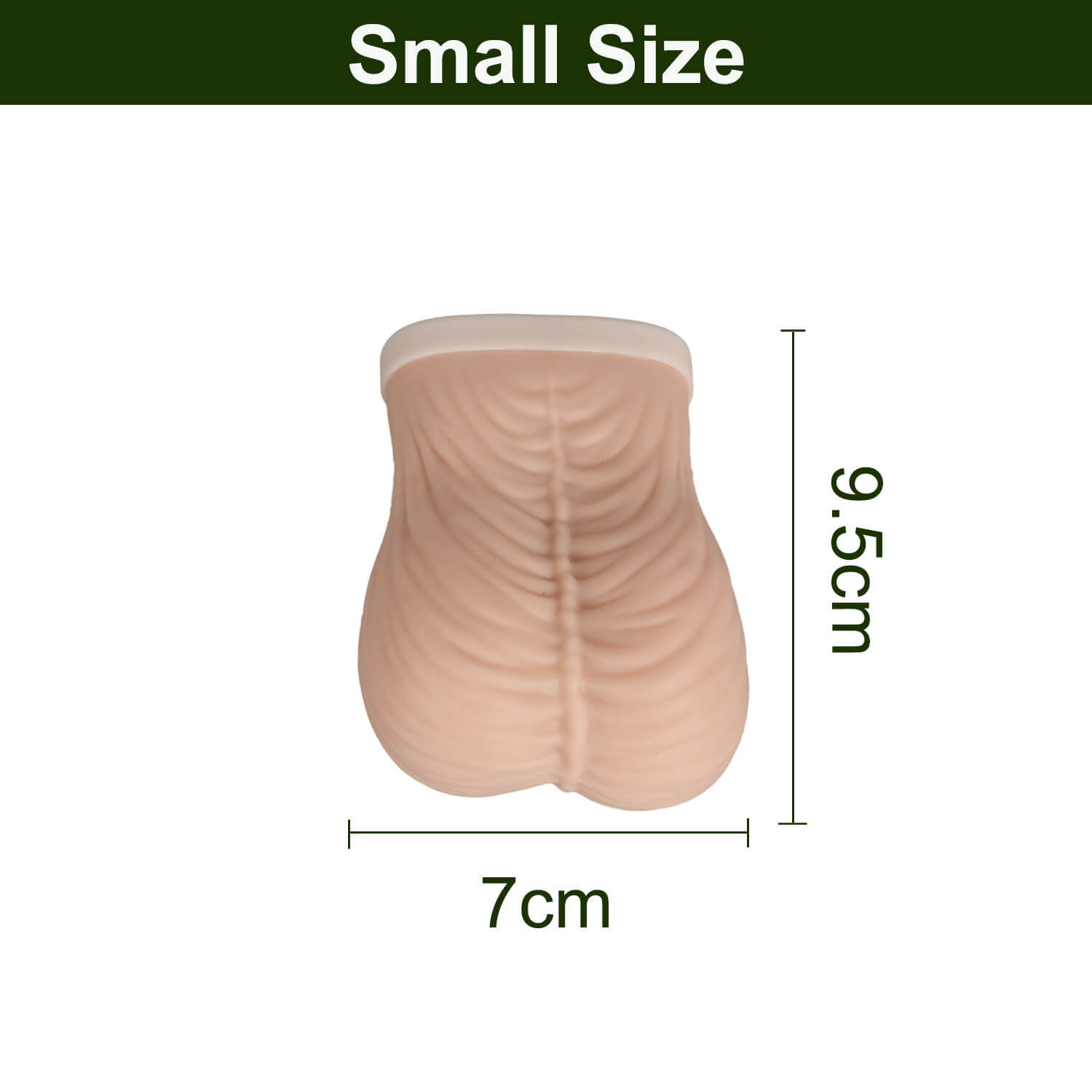 TSE Model for Testicular Self-Examination