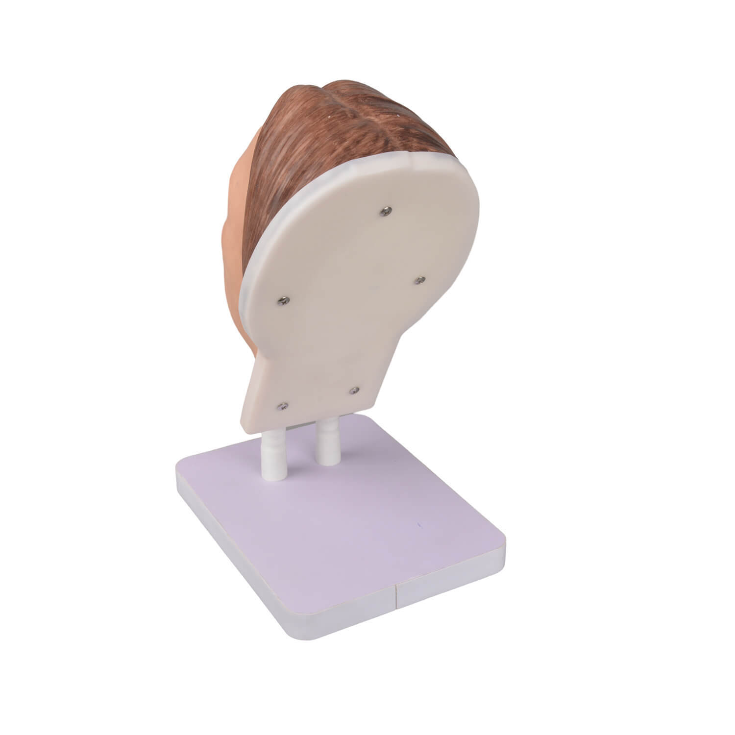 Female Mannequin Head for Facial Injections Harmonization Training
