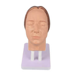 Female Facial Injection Training Head Model
