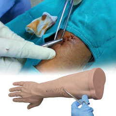 Suture and Stapling Practice Arm, Light and Dark Skin