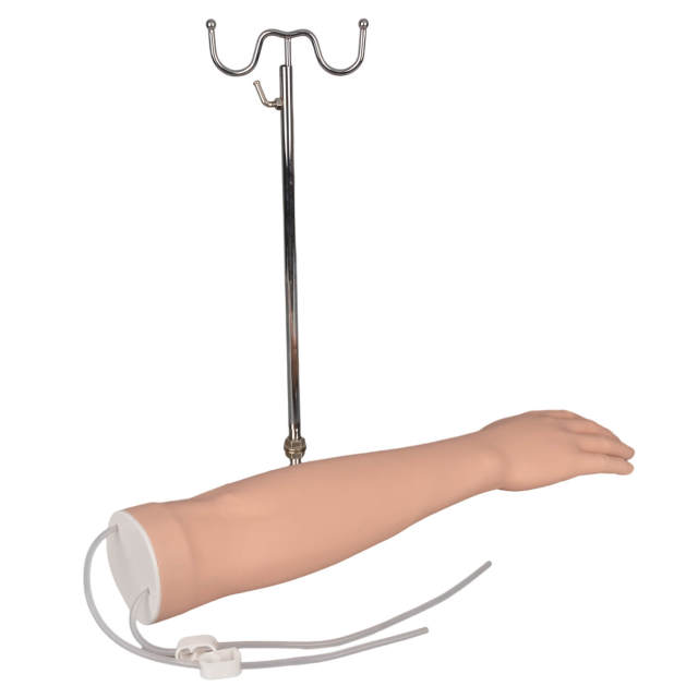 Budget IV Injection Training Arm Kit