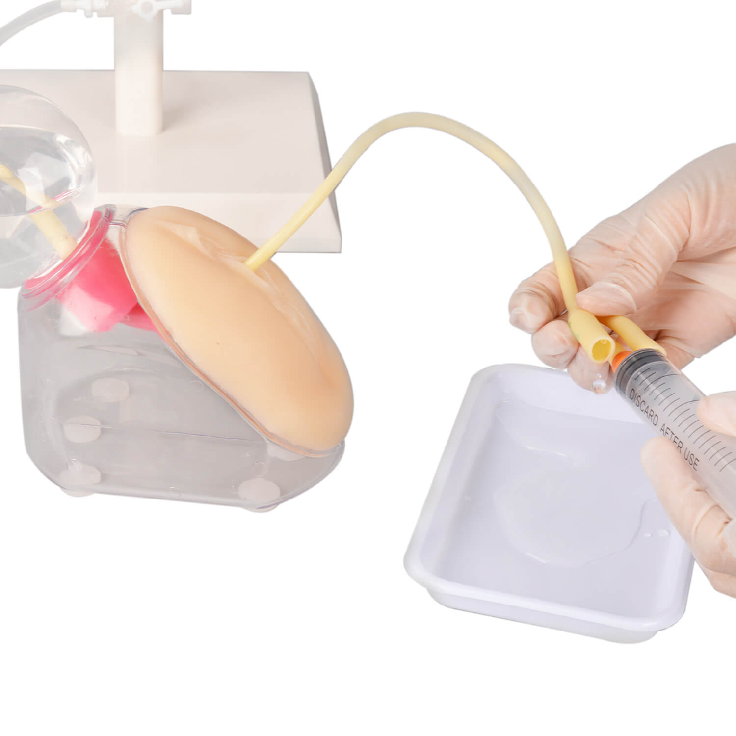 Female Urinary Catheterization Trainer