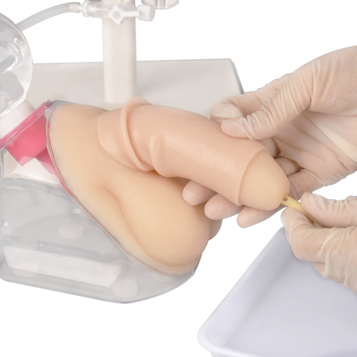Male Urinary Catheterization Model