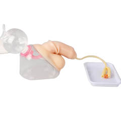 Male Urinary Catheterization Model