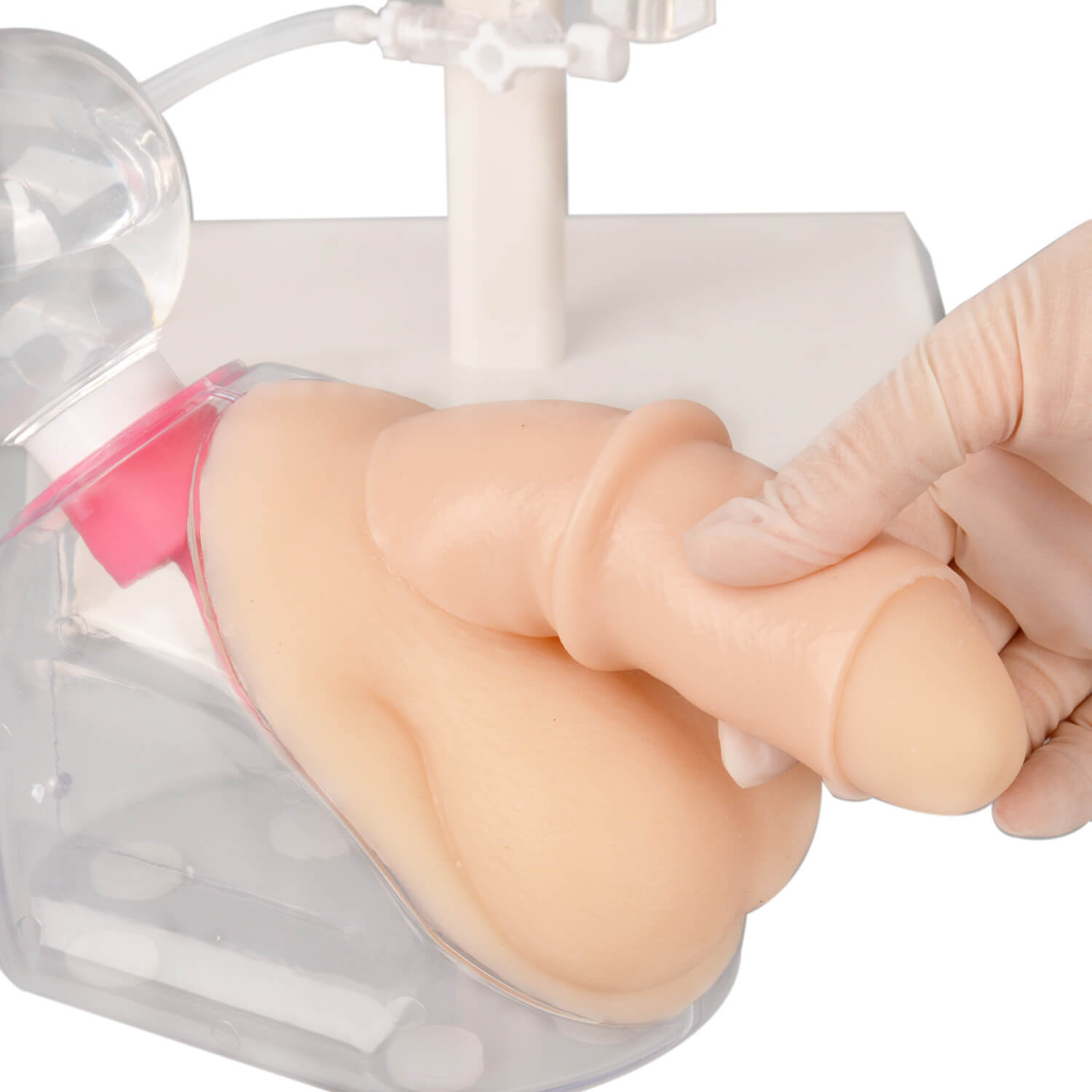 Male Urinary Catheterization Model