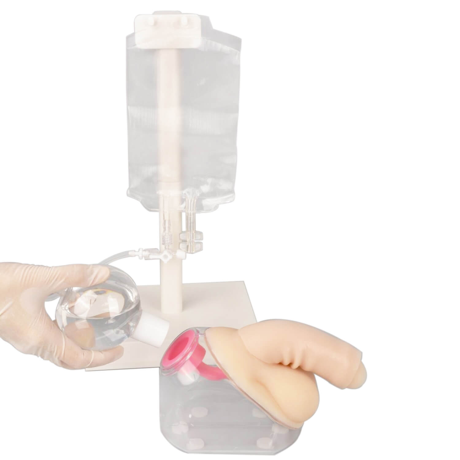 Male Urinary Catheterization Model
