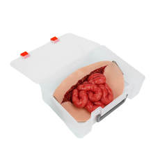 Wearable Abdominal Evisceration with Intestine Simulator