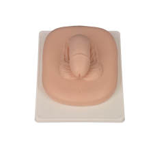 Adult Male Circumcision Trainer (3 Skin Tones)