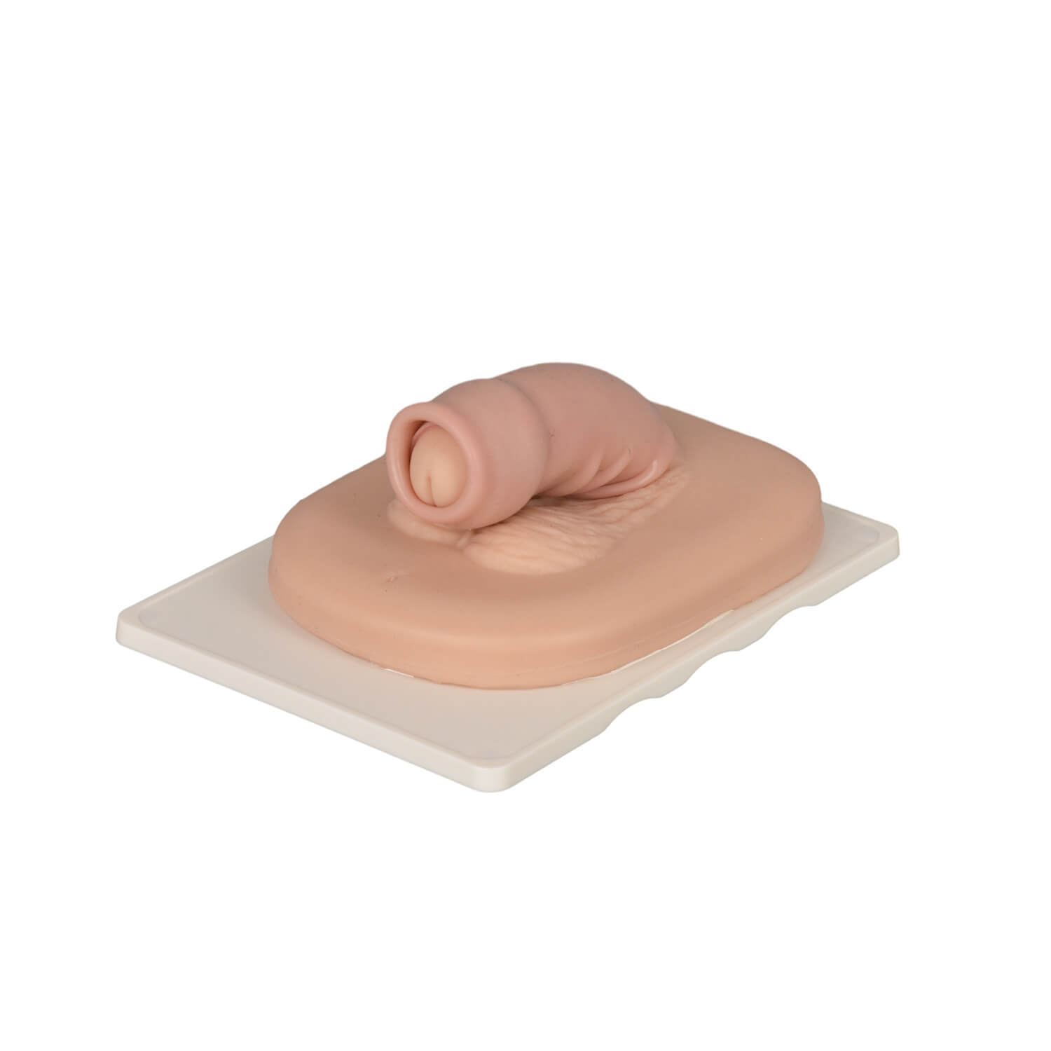 Adult Male Circumcision Trainer (3 Skin Tones)