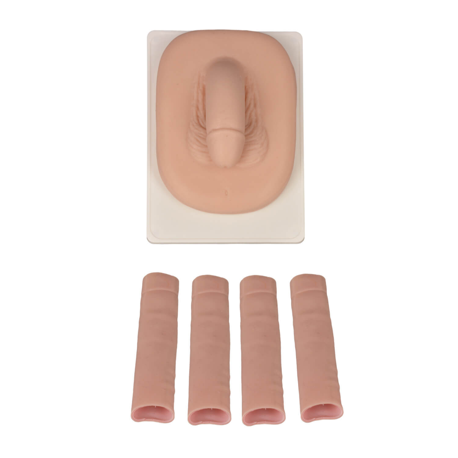 Adult Male Circumcision Trainer (3 Skin Tones)