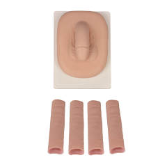 Adult Male Circumcision Trainer (3 Skin Tones)