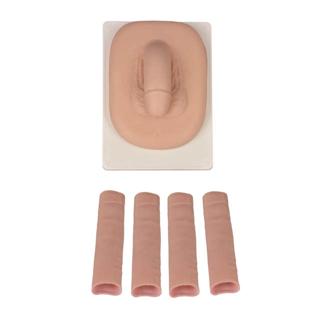Adult Male Circumcision Trainer (3 Skin Tones)