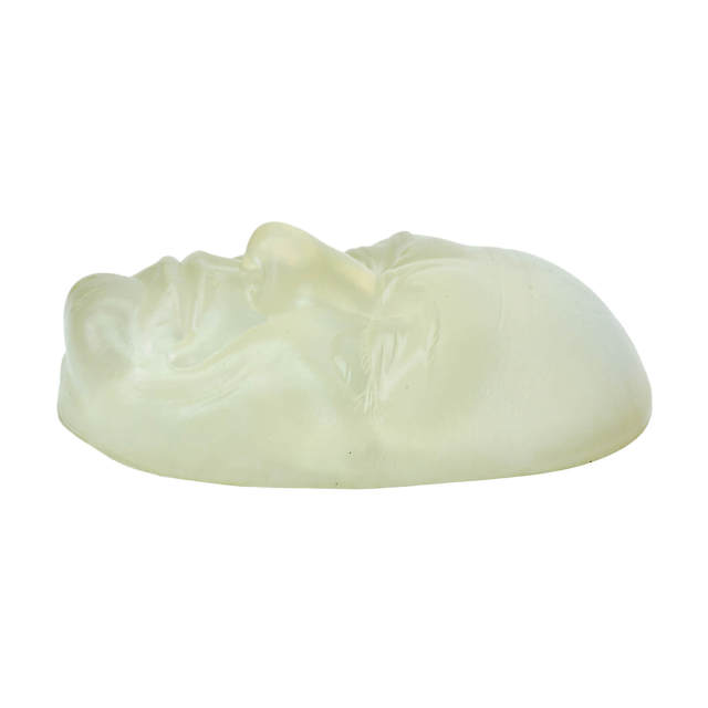 Transparent Mannequin Face for Facial Injection and Thread Lifting Training