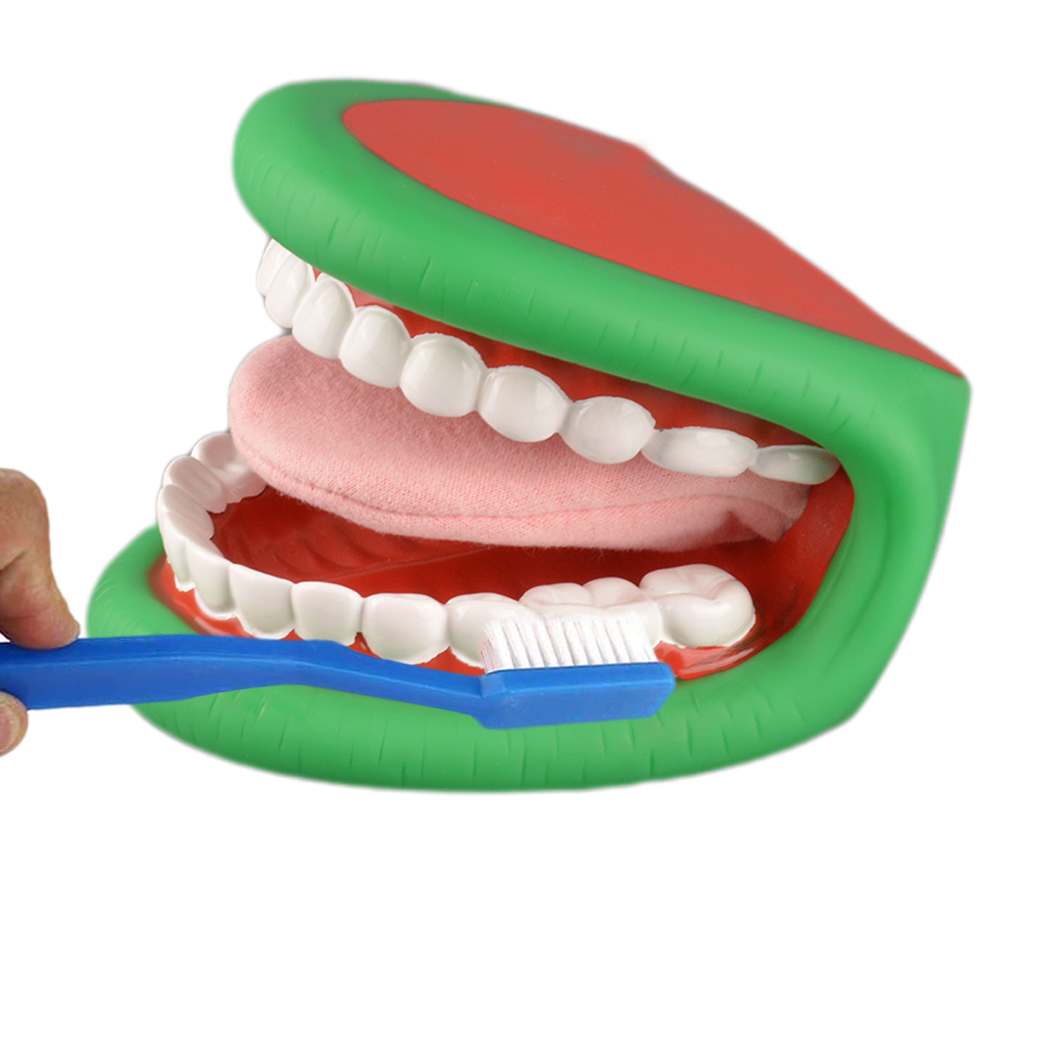 Puppet Braces Mouth Hand Puppet with Tongue for Speech Therapy Dentist