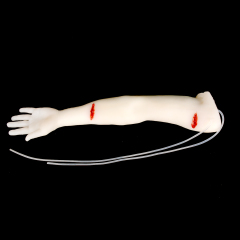 Translucent Haemorrhage Control Arm Trainer