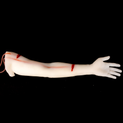Translucent Haemorrhage Control Arm Trainer