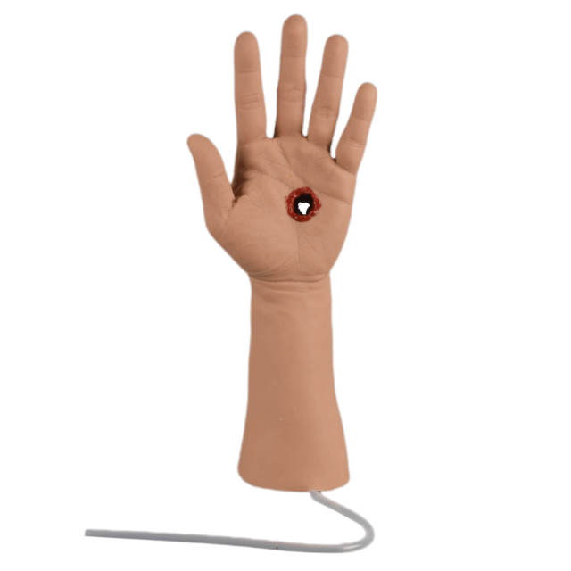 Gunshot Wound Hand Model for Tourniquet and Wound Packing Training
